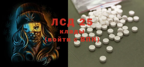 шишки Апатиты