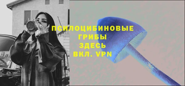 амфетамин Новодвинск