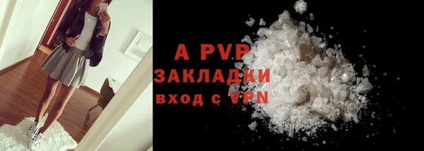 шишки Апатиты