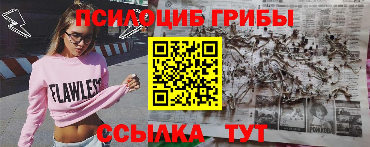 Нижневартовск  Псилоцибиновые грибы GOLDEN TEACHER  Вход с VPN 