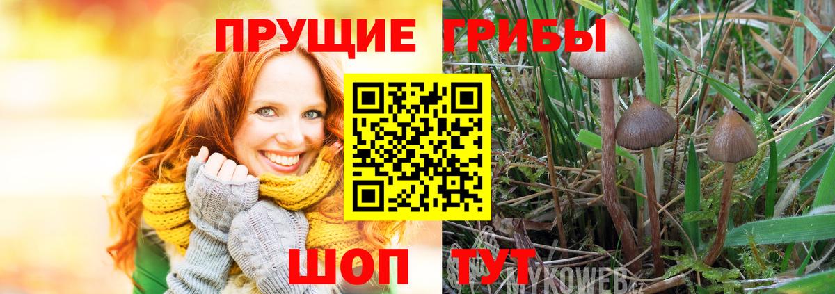 Бутират Нижневартовск