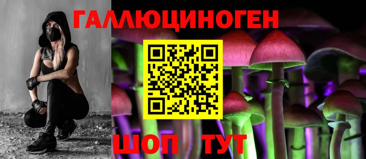 Псилоцибиновые грибы GOLDEN TEACHER  Нижневартовск 